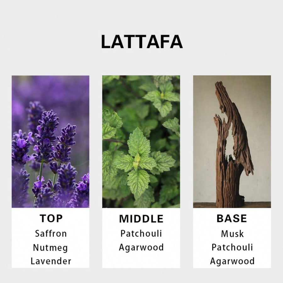 Lattafa Badee Al Oud For Glory – Perfume Fragrances Bewertung und Preis